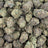Face Fat bulk THCA flower — Plain Jane 1 lb