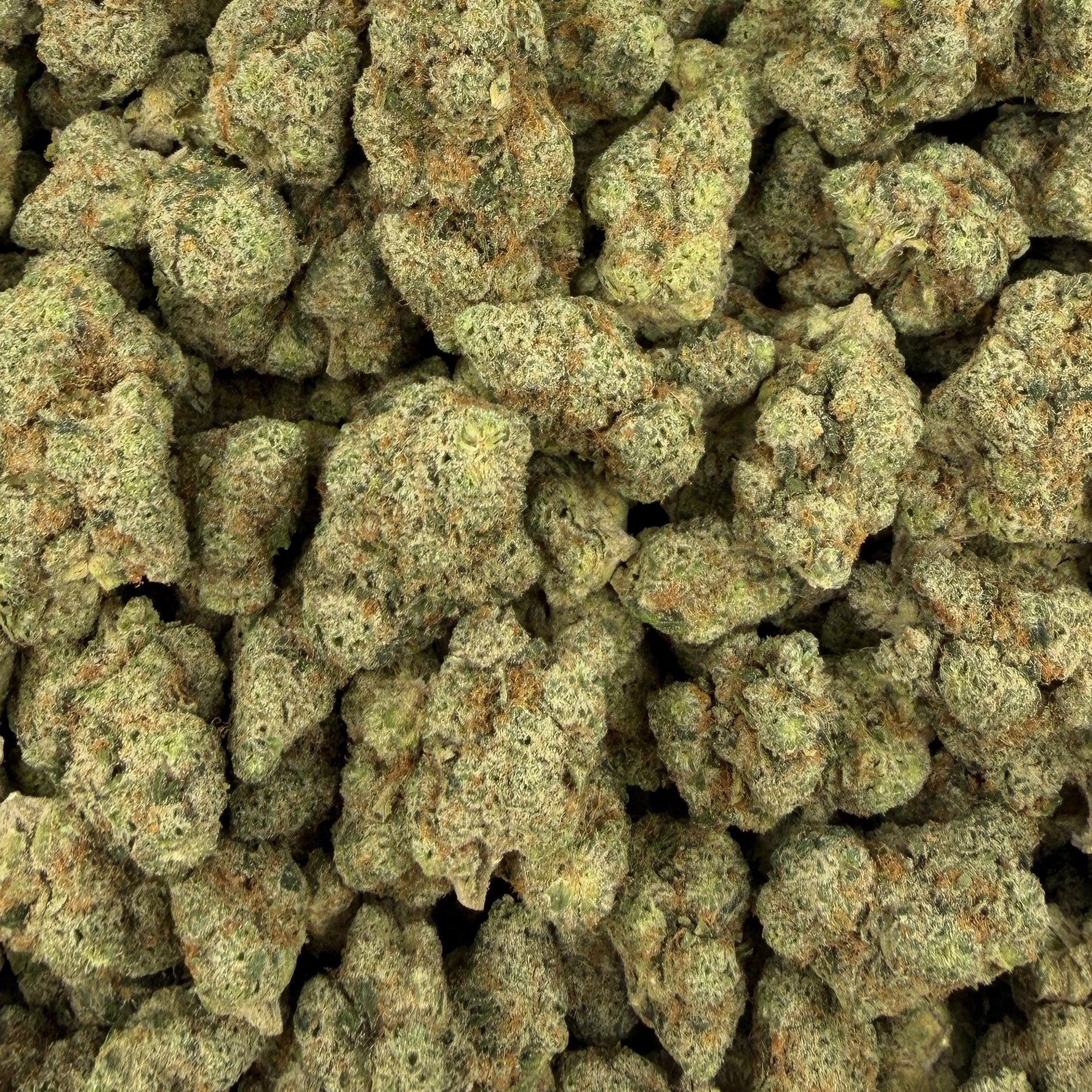 Face Fat bulk THCA flower — Plain Jane 1 lb