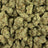 Face Fat bulk THCA flower — Plain Jane 1 lb