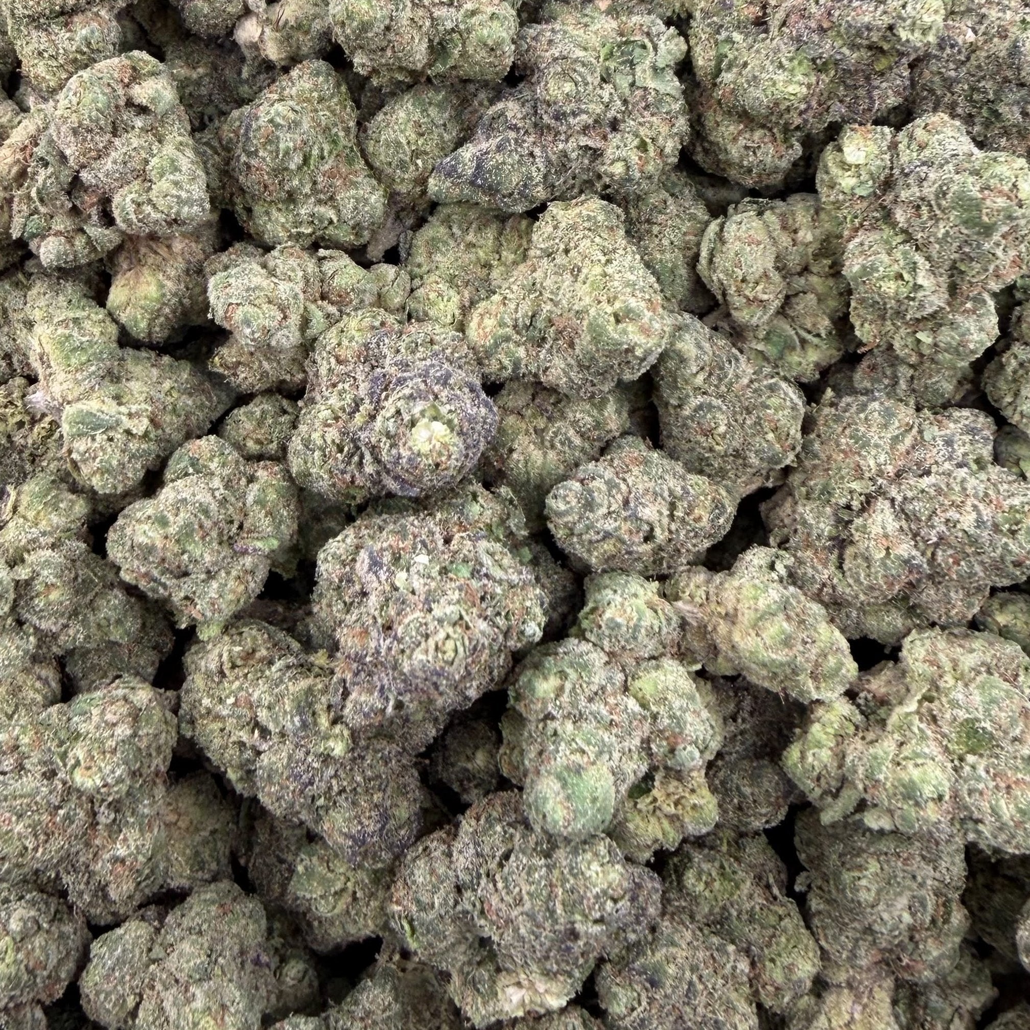Face Off bulk THCA flower — Plain Jane 1 lb