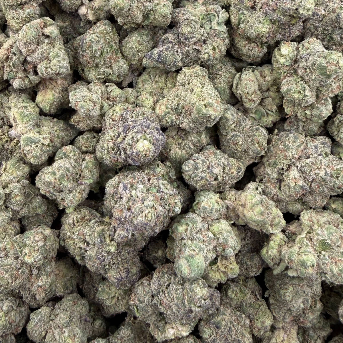 Face Off bulk THCA flower — Plain Jane 1 lb