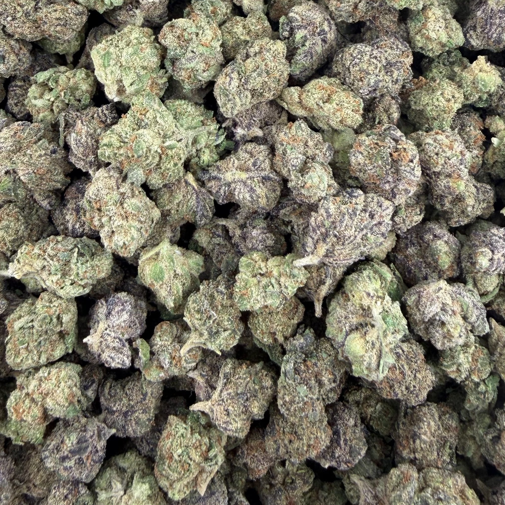 Face Off bulk THCA flower — Plain Jane 1 lb
