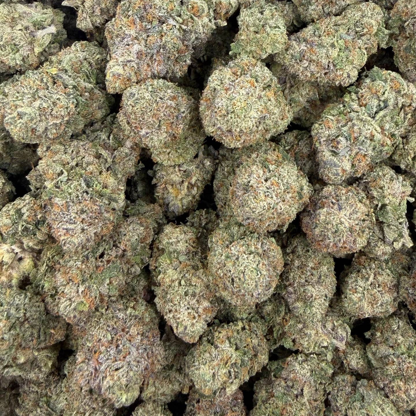 Fat Purple Candy bulk THCA flower — Plain Jane 1 lb