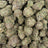 Fat Purple Candy bulk THCA flower — Plain Jane 1 lb