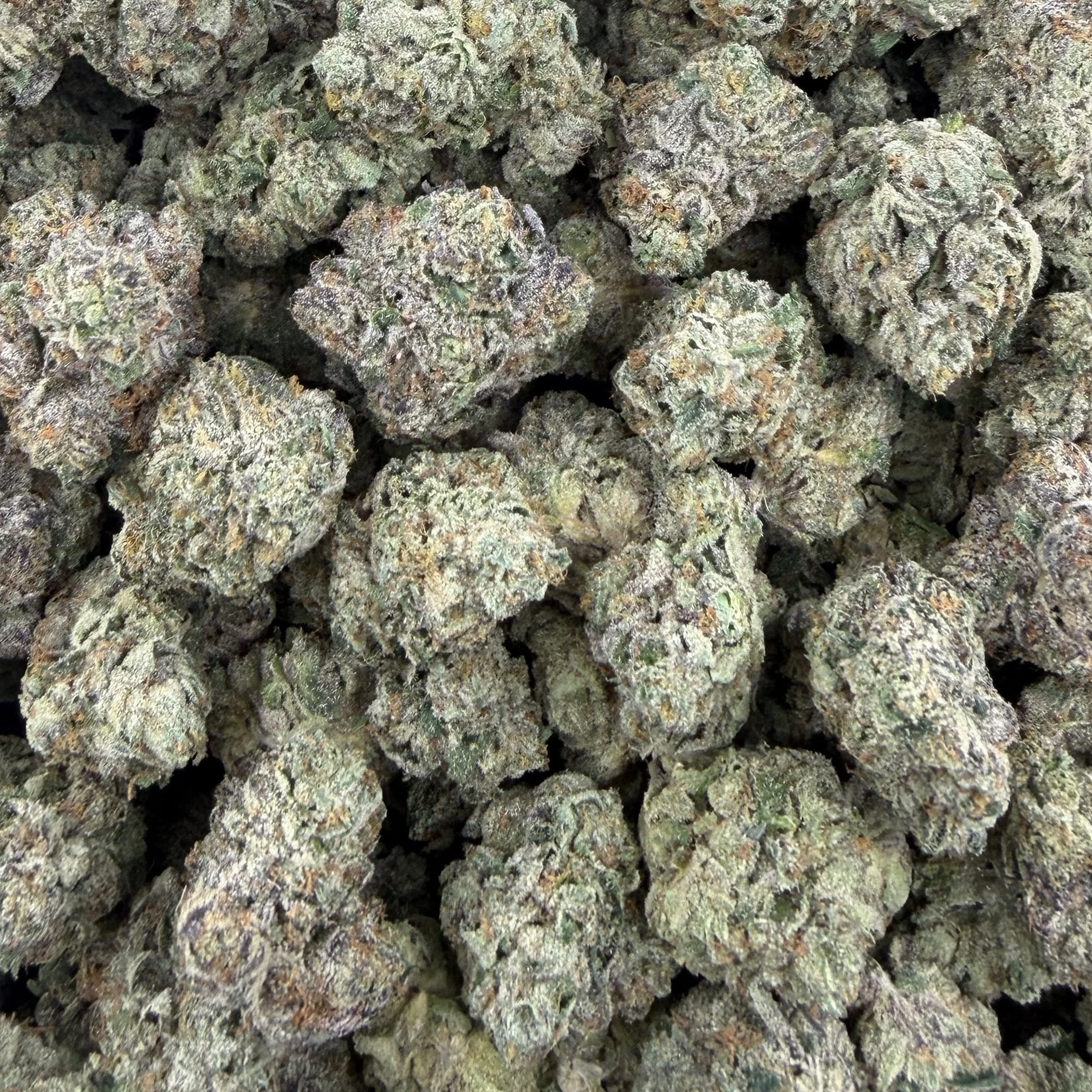 Fat Purple Candy bulk THCA flower — Plain Jane 1 lb