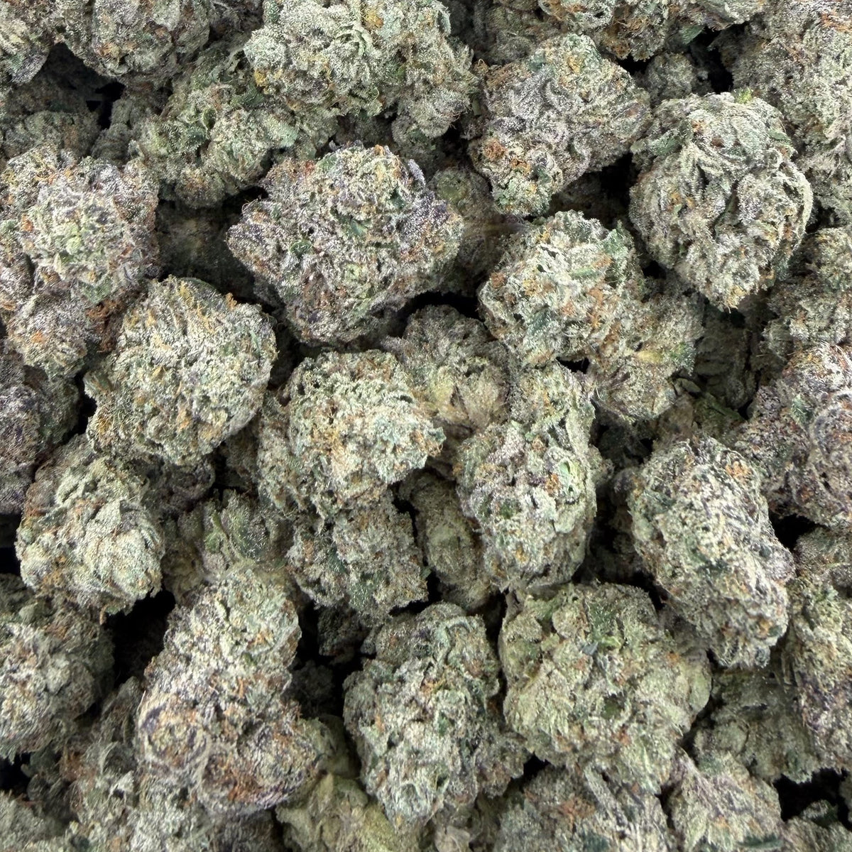 Fat Purple Candy bulk THCA flower — Plain Jane 1 lb