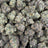 Fat Purple Candy bulk THCA flower — Plain Jane 1 lb