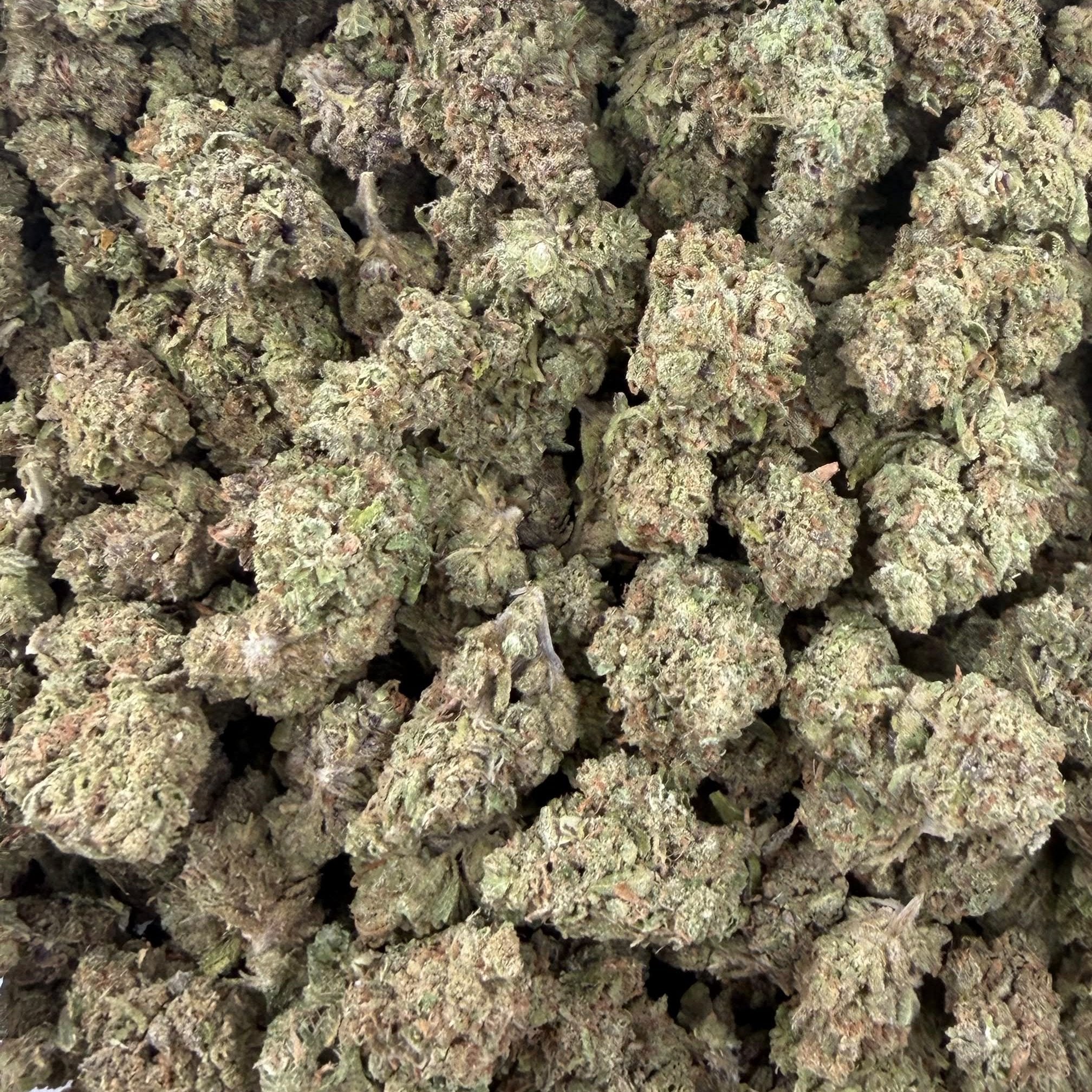 Fatso bulk THCA flower — Plain Jane 1 lb