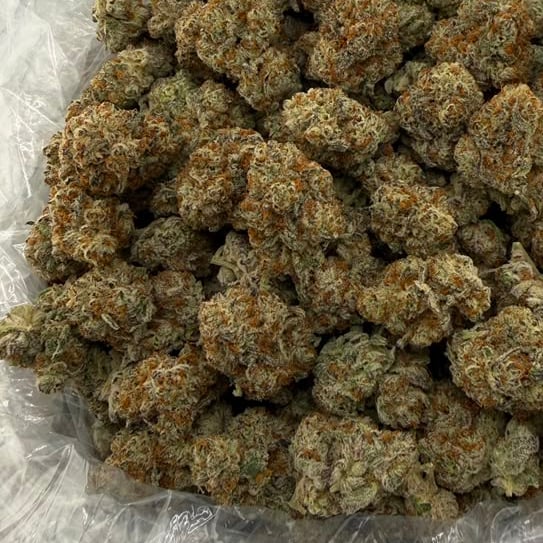 Flex Panther bulk THCA flower — Plain Jane 1 lb