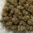 Flex Panther bulk THCA flower — Plain Jane 1 lb