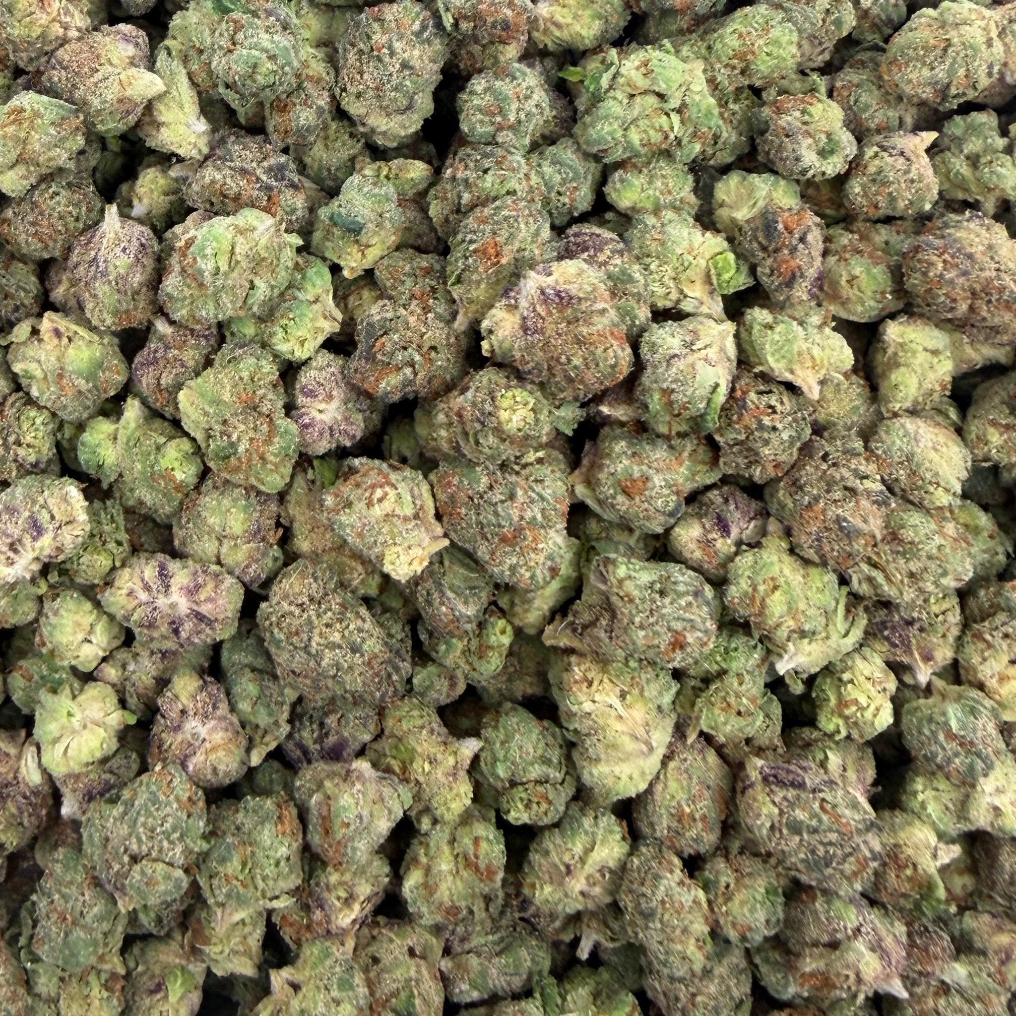 Forbidden Fruit bulk THCA flower — Plain Jane 1 lb