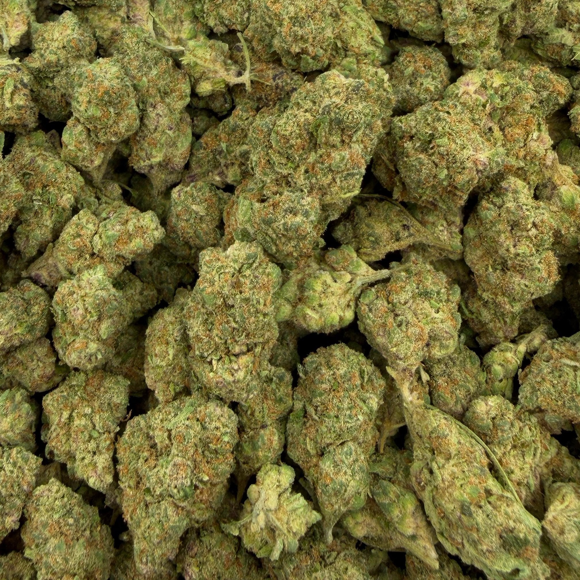 Forbidden Fruit bulk THCA flower — Plain Jane 1 lb