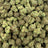 Forbidden Fruit bulk THCA flower — Plain Jane 1 lb