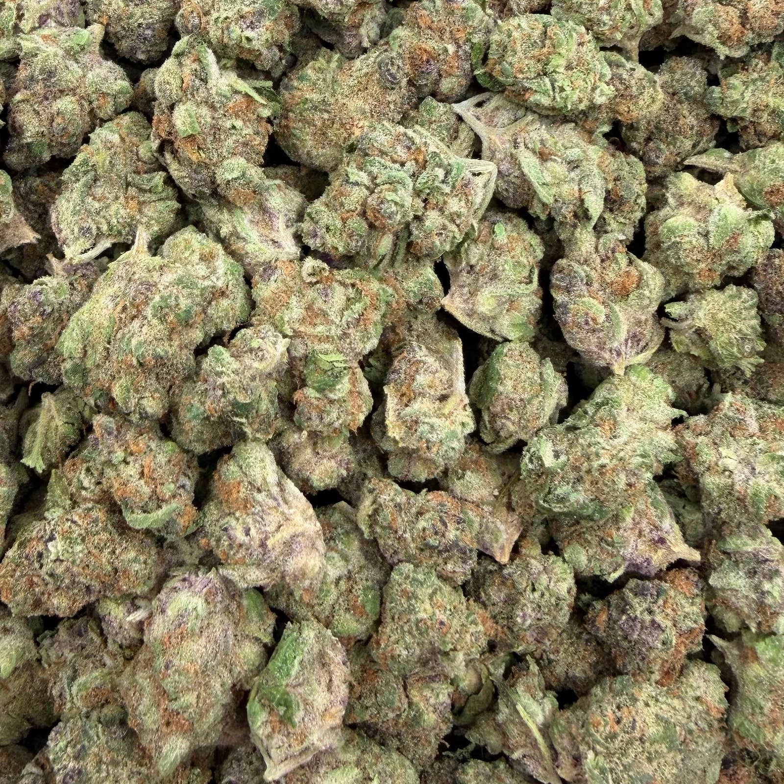 Forbidden Fruit bulk THCA flower — Plain Jane 1 lb