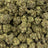 Froot By The Foot bulk THCA flower — Plain Jane 1 lb