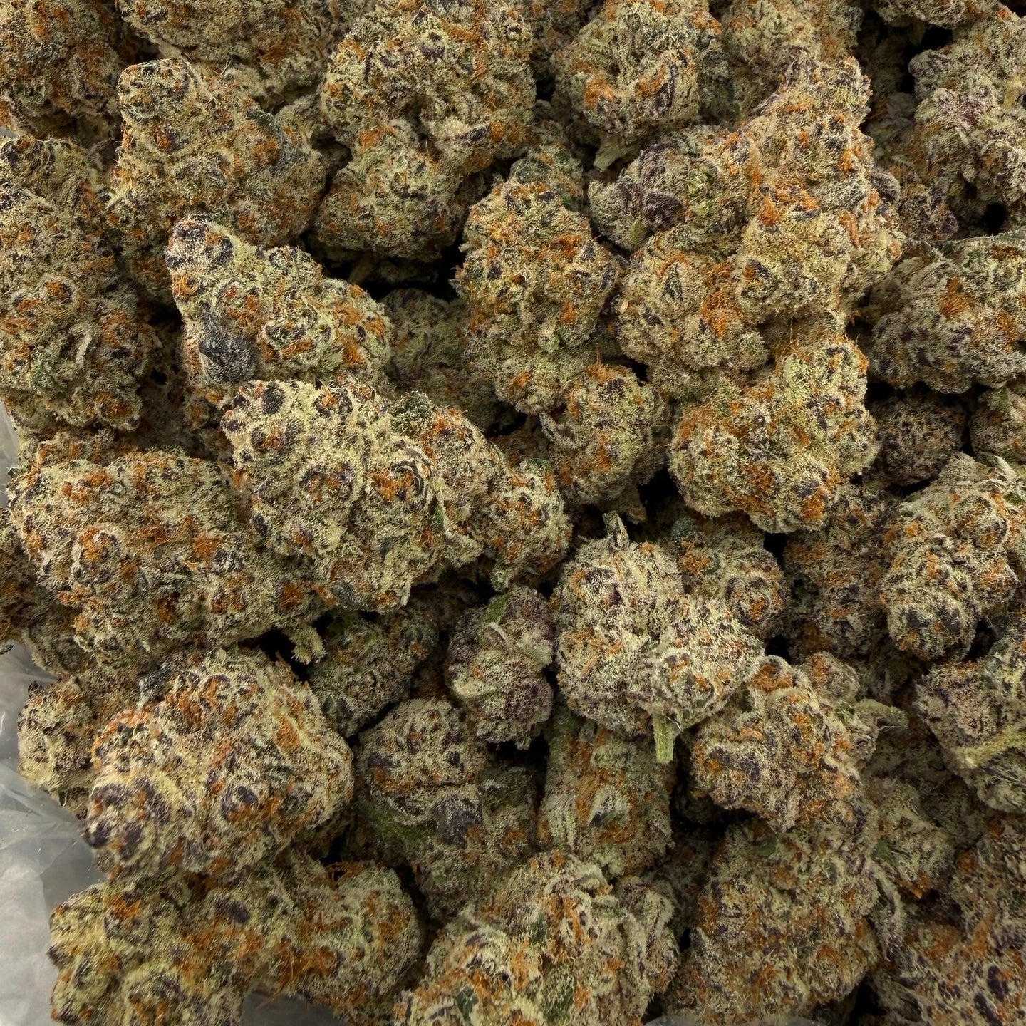 Frosted Donuts bulk THCA flower — Plain Jane 1 lb
