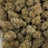 Frosted Donuts bulk THCA flower — Plain Jane 1 lb