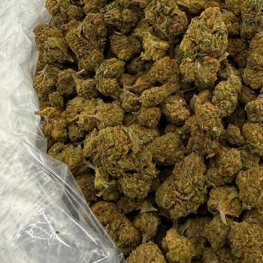 Fruity Pebbles bulk THCA flower — Plain Jane 1 lb