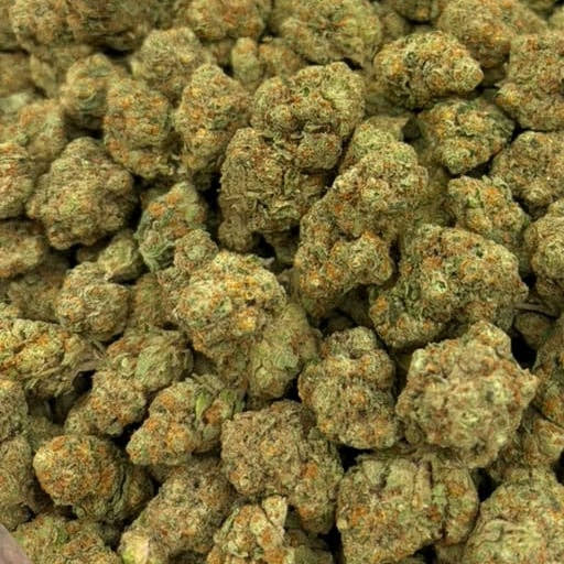 Fruity Pebbles bulk THCA flower — Plain Jane 1 lb