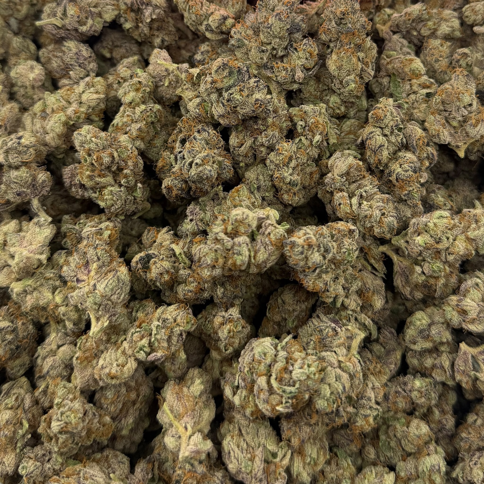 Full Gas bulk THCA flower — Plain Jane 1 lb
