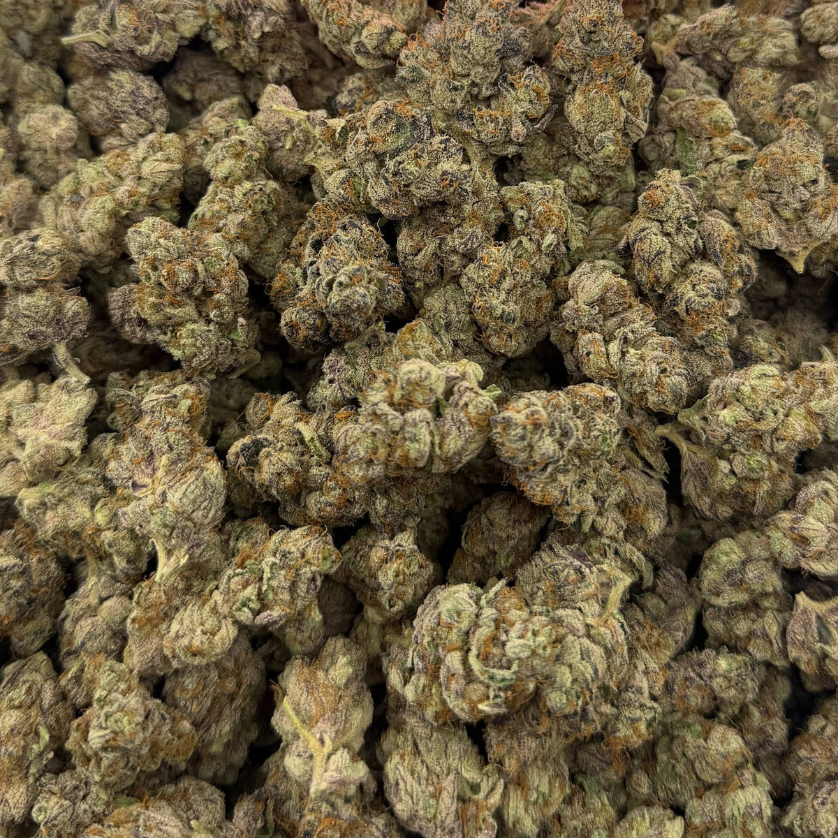 Full Gas bulk THCA flower — Plain Jane 1 lb