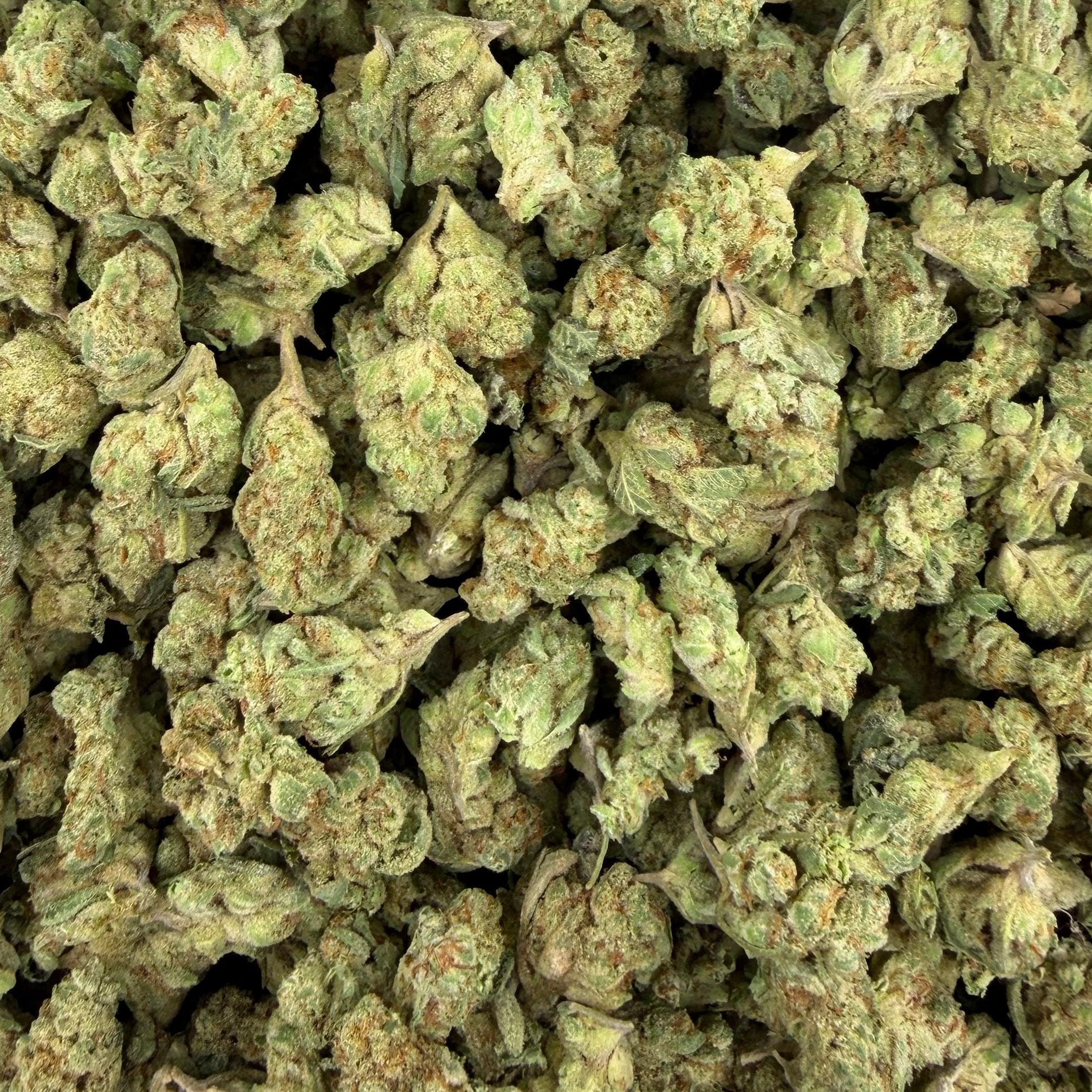 Funk Bomb bulk THCA flower — Plain Jane 1 lb
