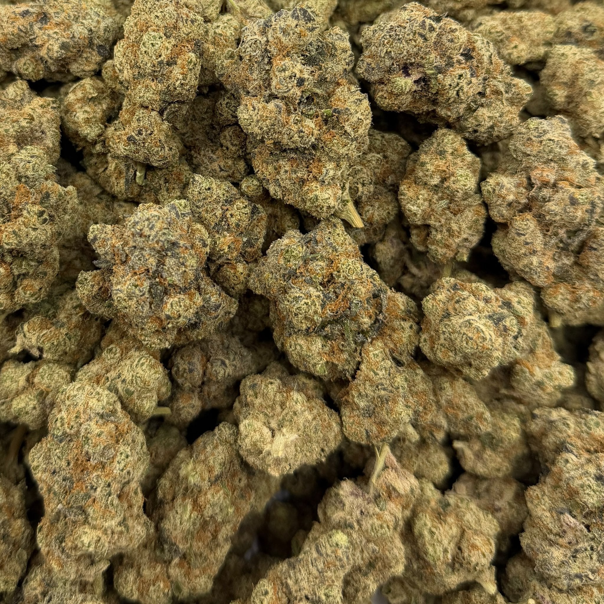 Funk Bomb bulk THCA flower — Plain Jane 1 lb