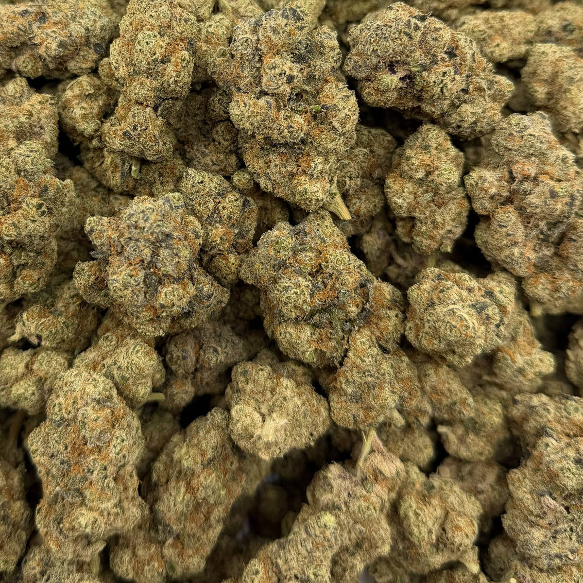 Funk Bomb bulk THCA flower — Plain Jane 1 lb