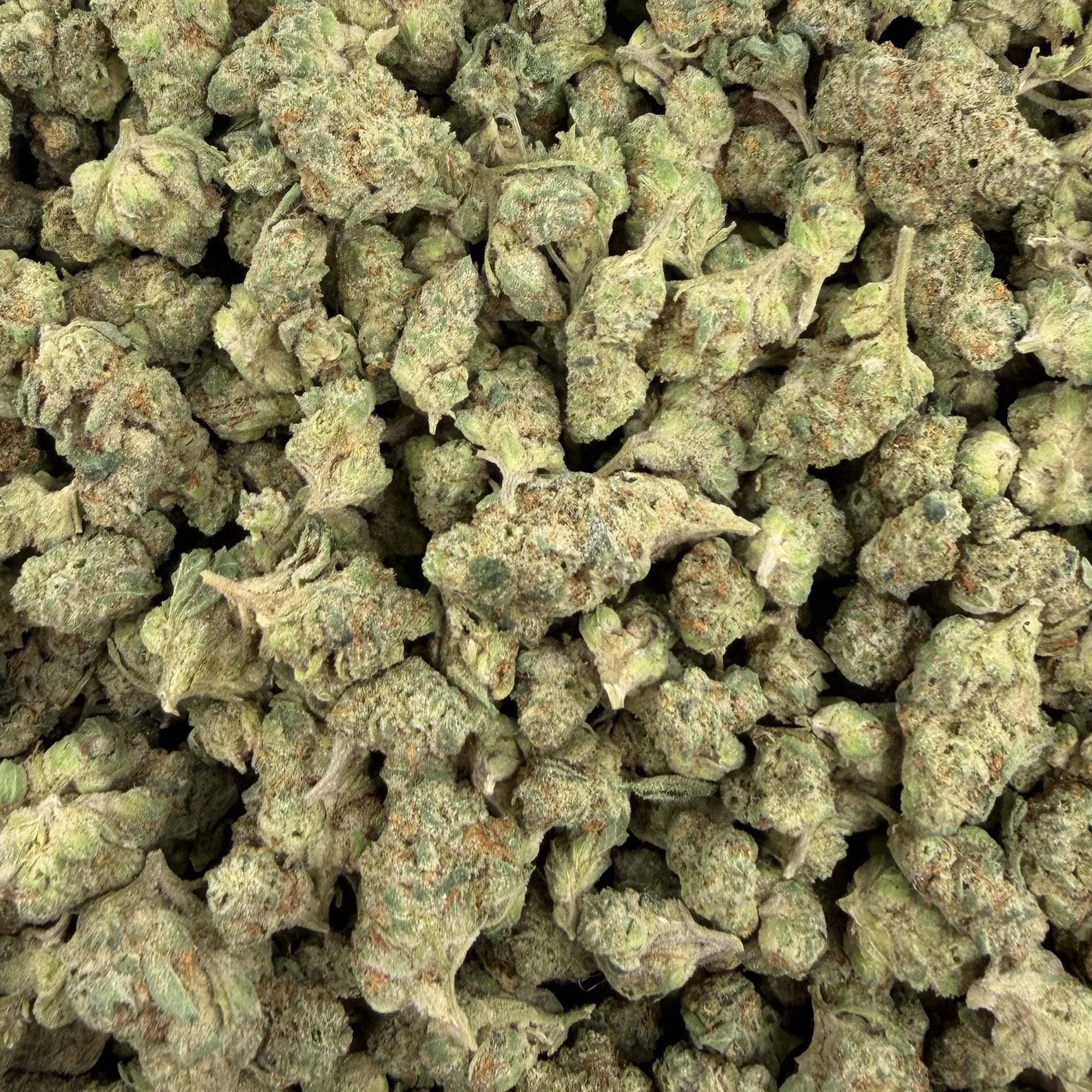 Funk Bomb bulk THCA flower — Plain Jane 1 lb