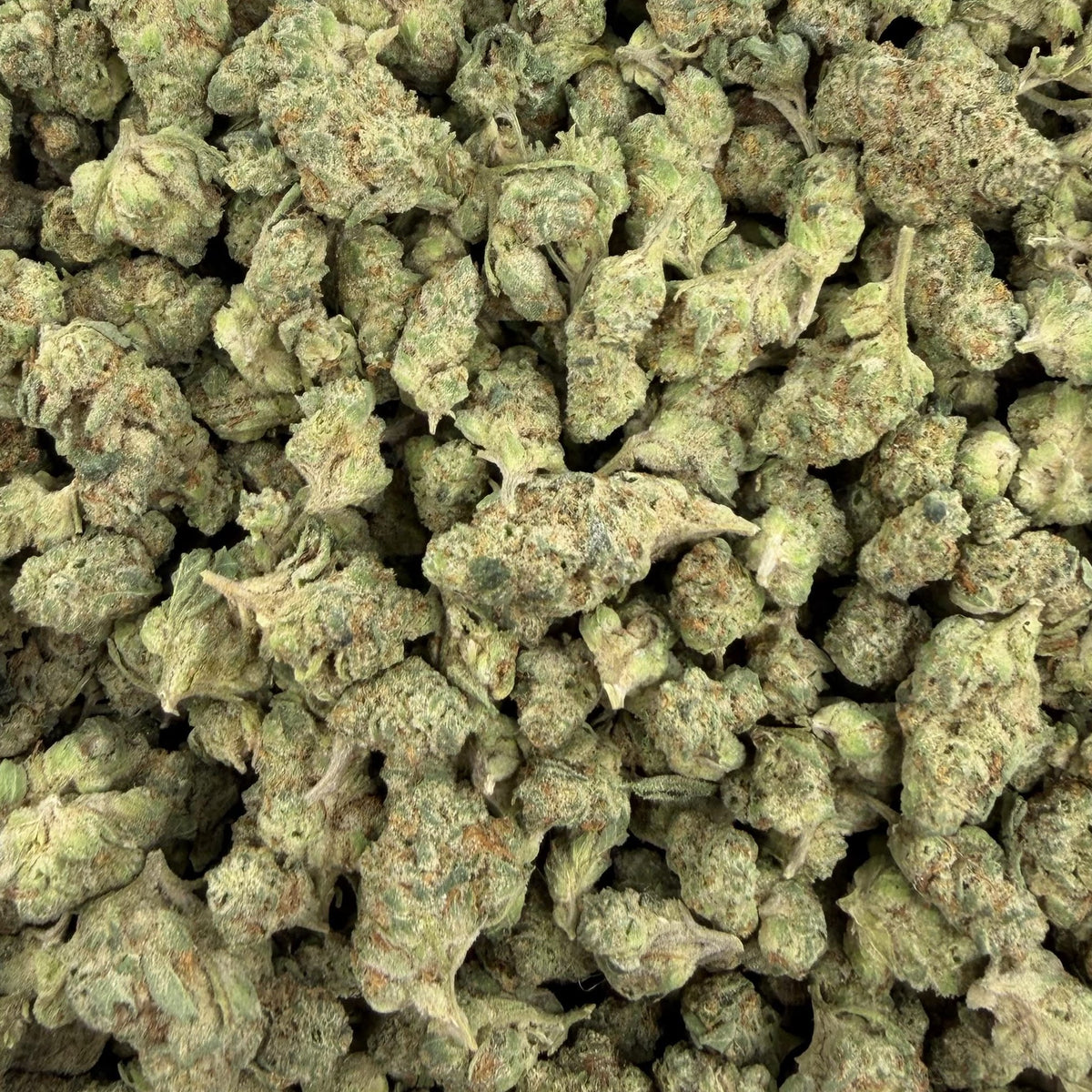 Funk Bomb bulk THCA flower — Plain Jane 1 lb