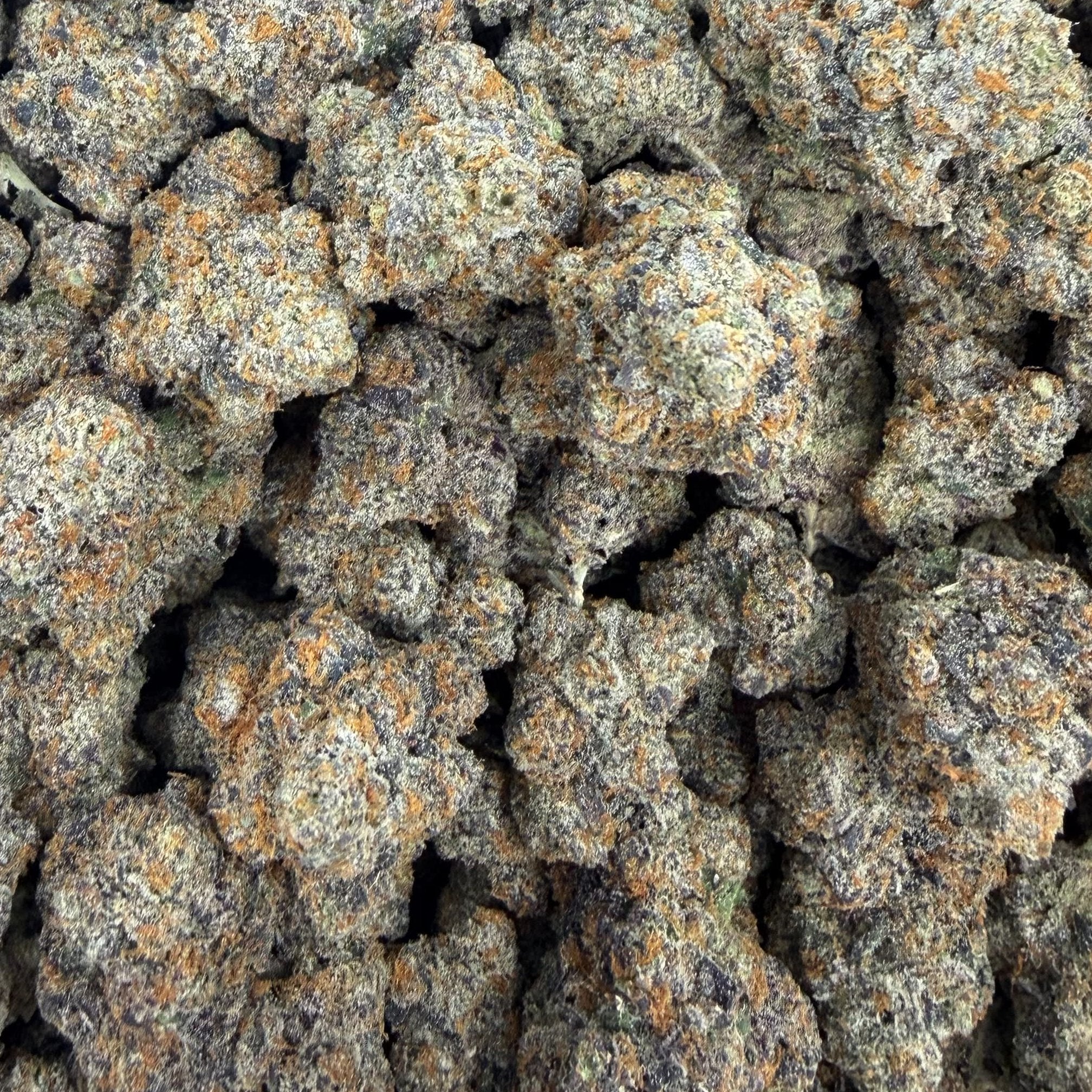 Galactic Warheads bulk THCA flower — Plain Jane 1 lb