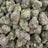 Galactic Warheads bulk THCA flower — Plain Jane 1 lb