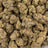 Garlic Breath bulk THCA flower — Plain Jane 1 lb