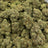 Garlic Cookies bulk THCA flower — Plain Jane 1 lb