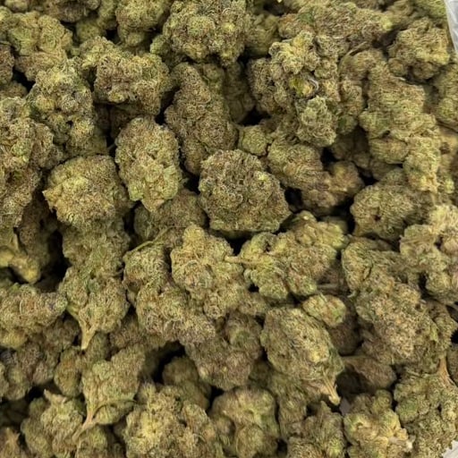 Garlic Cookies bulk THCA flower — Plain Jane 1 lb