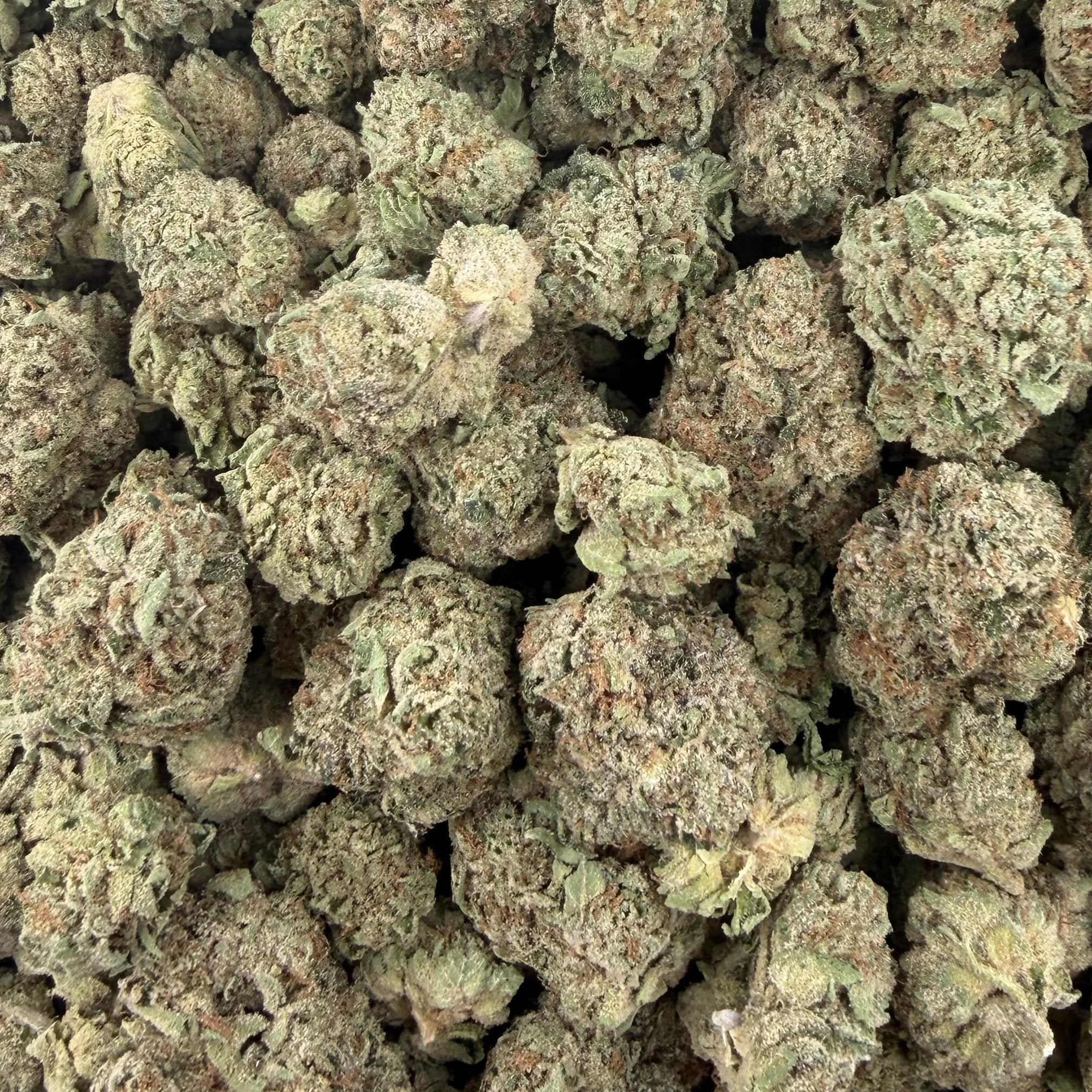 Garlic Gas bulk THCA flower — Plain Jane 1 lb