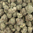 Garlic Gas bulk THCA flower — Plain Jane 1 lb