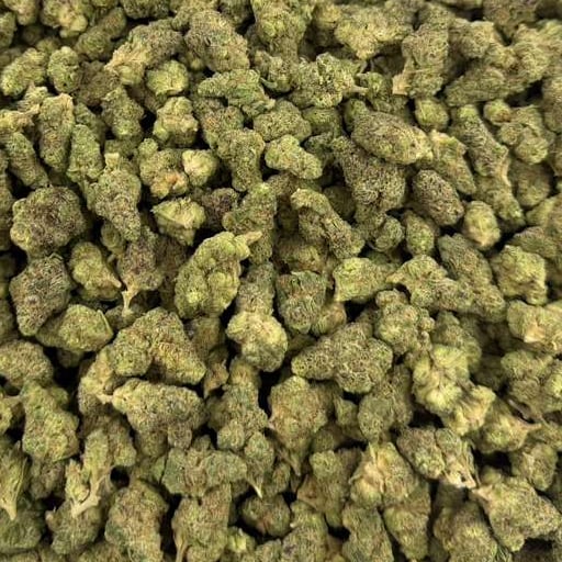 Garlic Gas bulk THCA flower — Plain Jane 1 lb