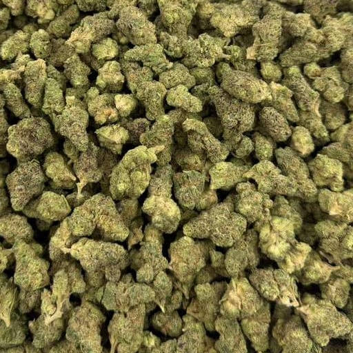Garlic Gas bulk THCA flower — Plain Jane 1 lb