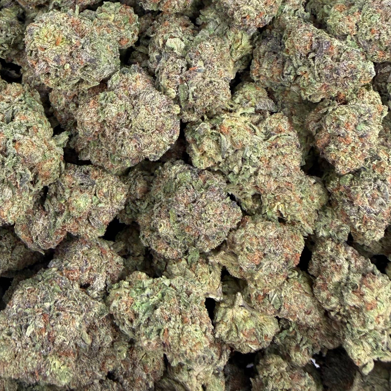 Garlic Mushroom Cake bulk THCA flower — Plain Jane 1 lb