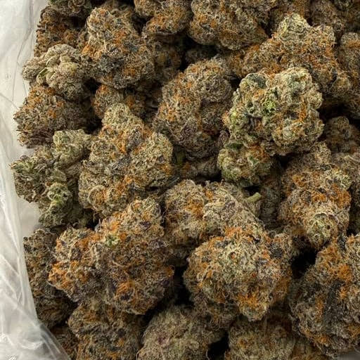 Gary Payton bulk THCA flower — Plain Jane 1 lb