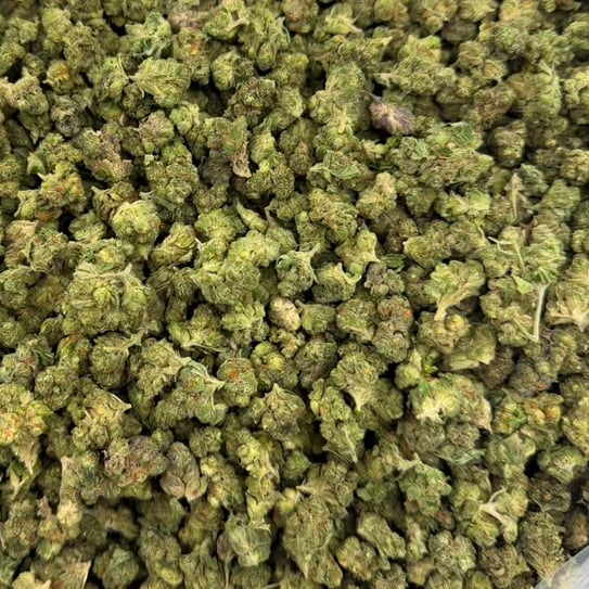 Gas Basket bulk THCA flower — Plain Jane 1 lb