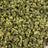 Gas Basket bulk THCA flower — Plain Jane 1 lb