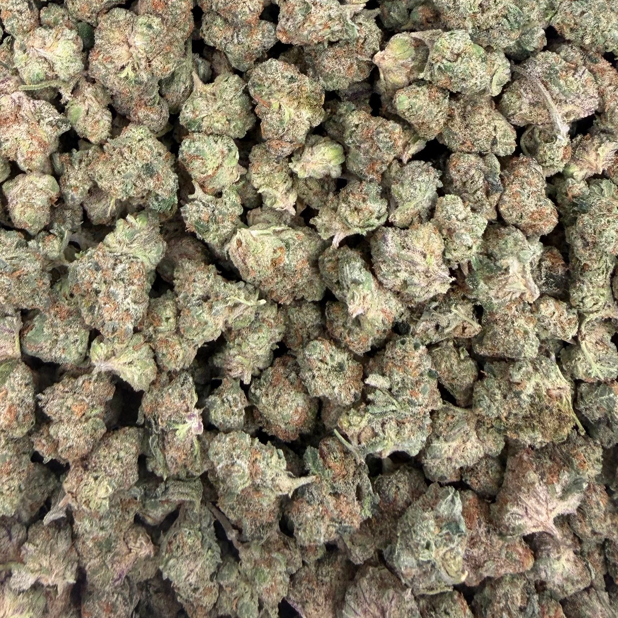 Gas Basket bulk THCA flower — Plain Jane 1 lb