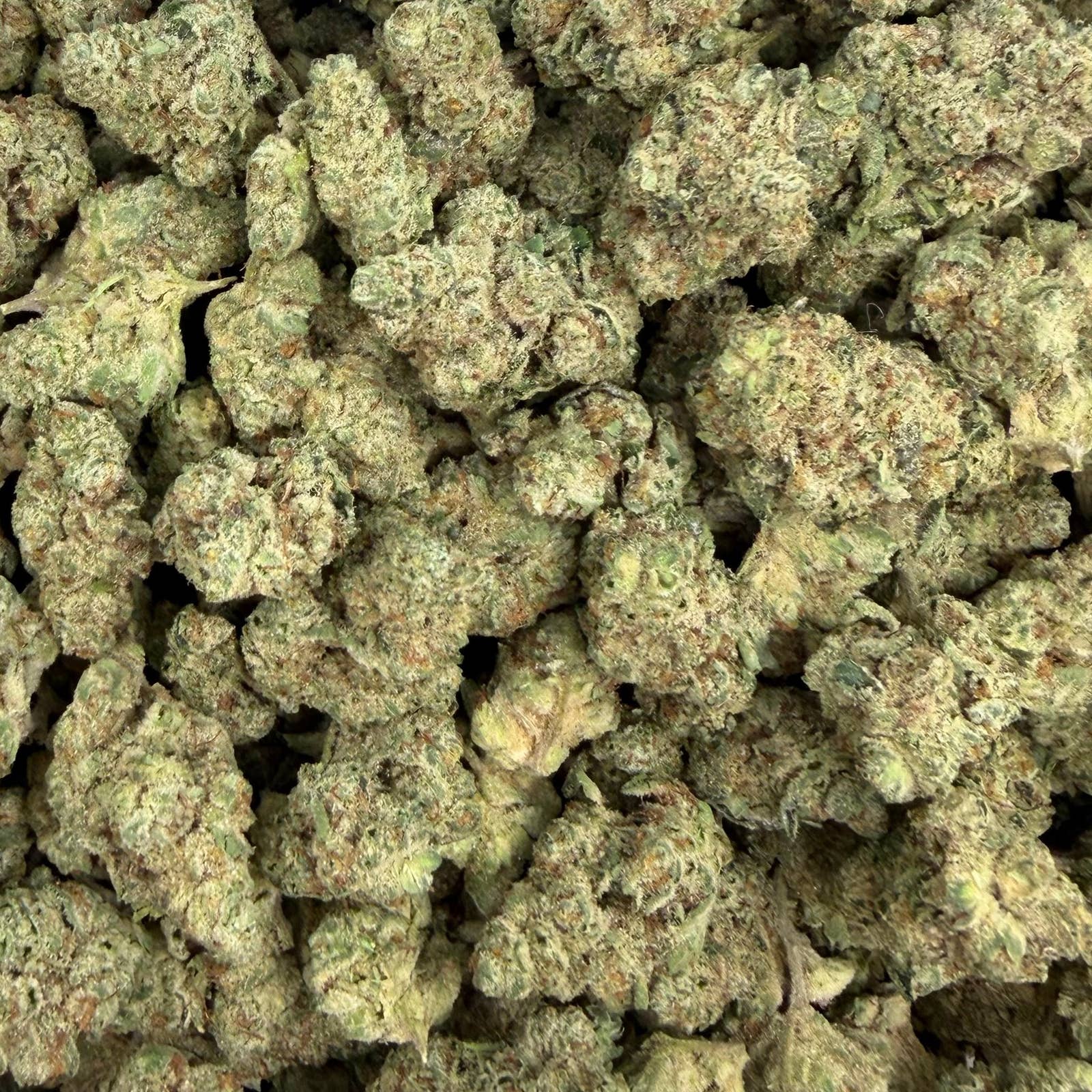 Gas Basket bulk THCA flower — Plain Jane 1 lb