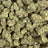 Gas Basket bulk THCA flower — Plain Jane 1 lb