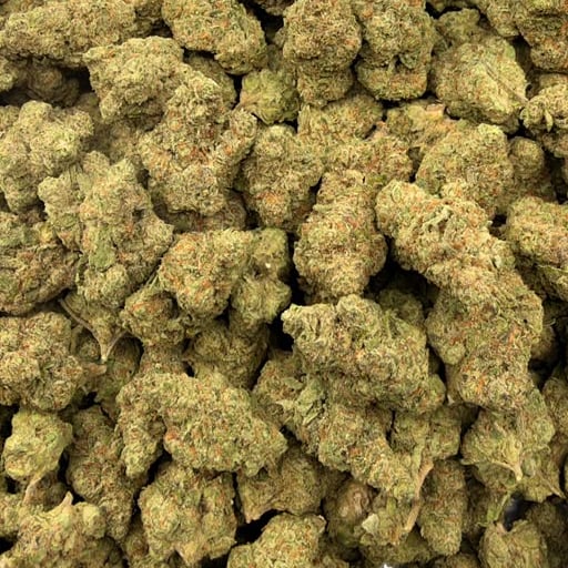 Gas Dropz
