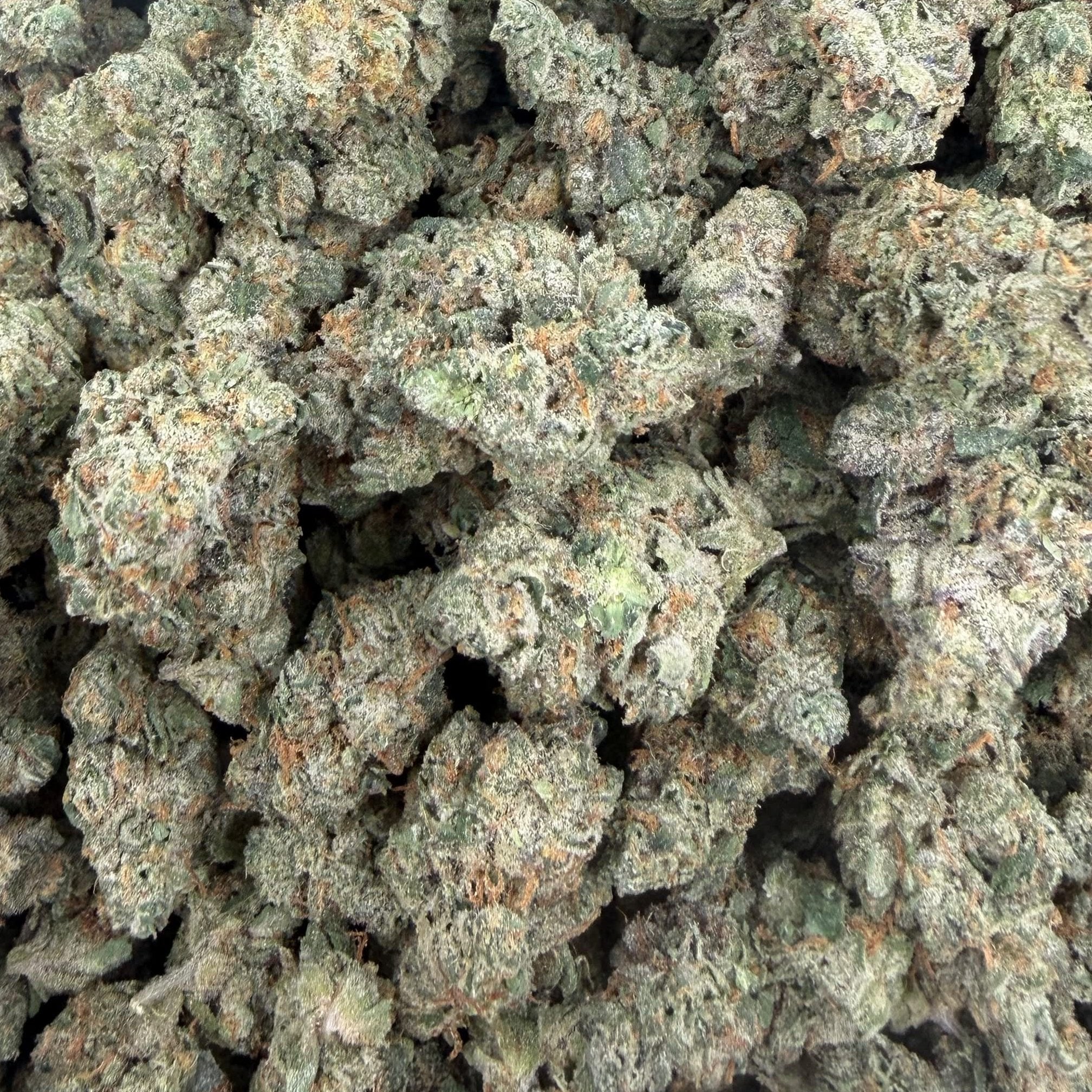 Gas Face bulk THCA flower — Plain Jane 1 lb