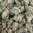 Gas Face bulk THCA flower — Plain Jane 1 lb