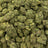Gascotti bulk THCA flower — Plain Jane 1 lb